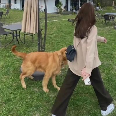 春风物语